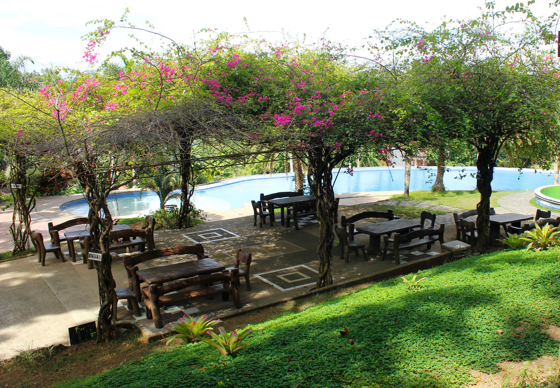 Bougainville Benches