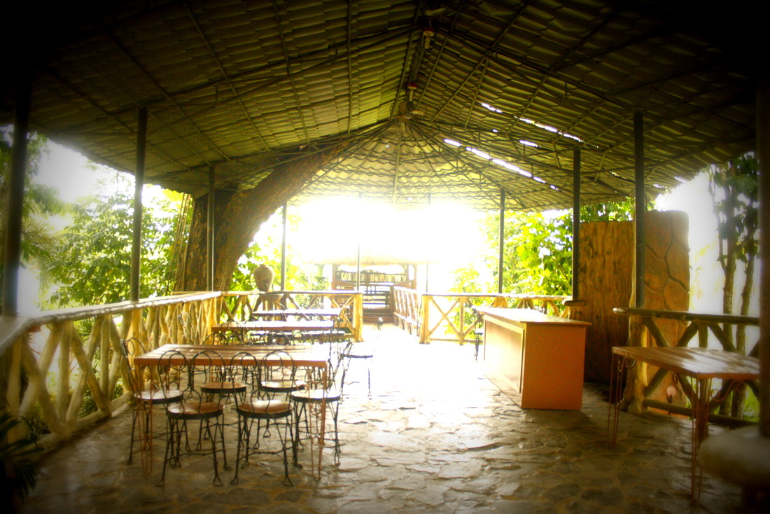 Tree House Pavillion